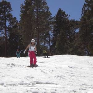 Meet your Posher, Diane